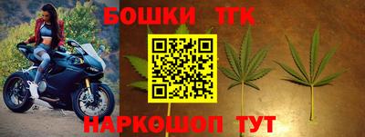 крисы Кунгур
