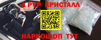 крисы Кунгур
