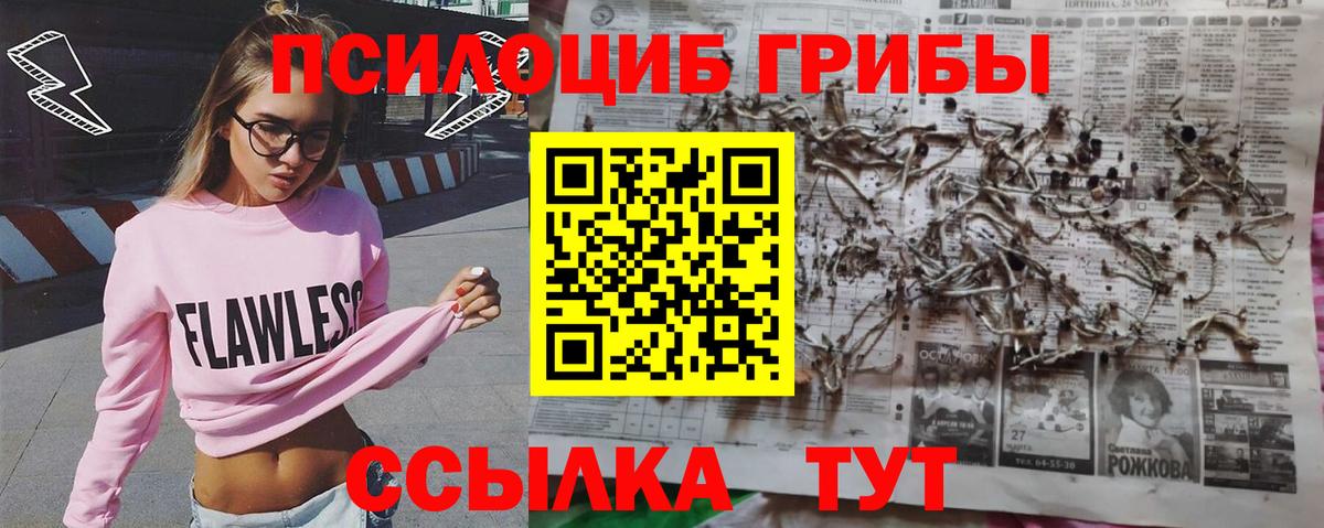 Галлюциногенные грибы мицелий  Галлюциногенные грибы Cubensis  Тюмень 