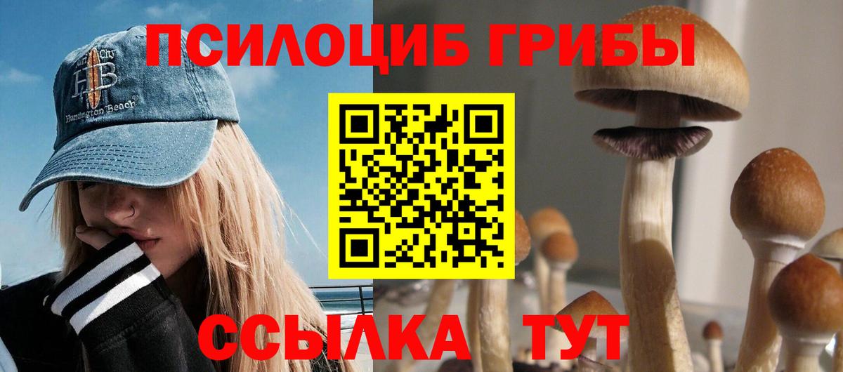 Псилоцибиновые грибы GOLDEN TEACHER Тюмень