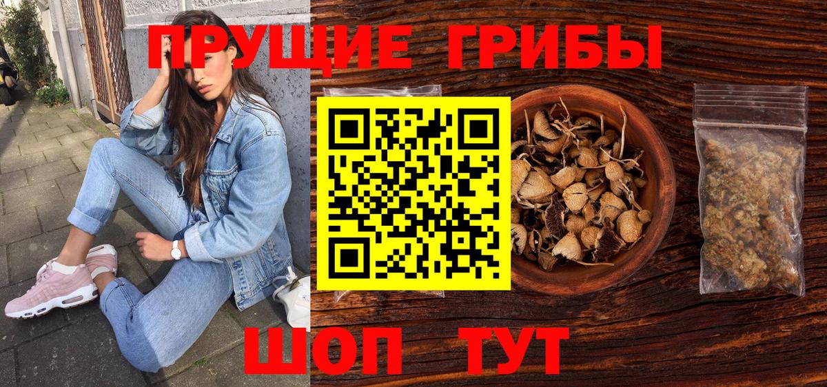 Тюмень  Псилоцибиновые грибы Cubensis  Вход с VPN  Галлюциногенные грибы Magic Shrooms 