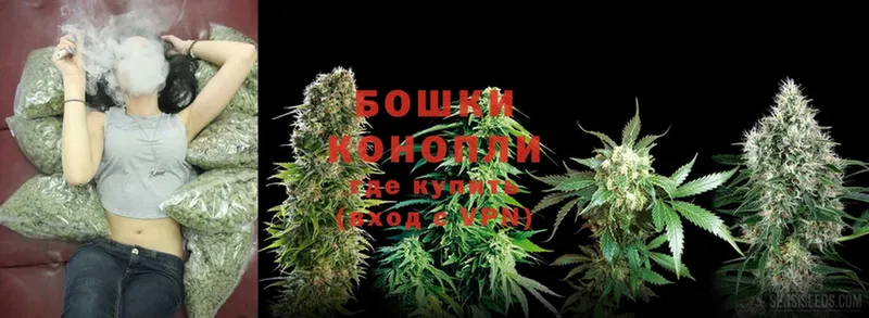 Конопля SATIVA & INDICA  купить наркоту  Тюмень 