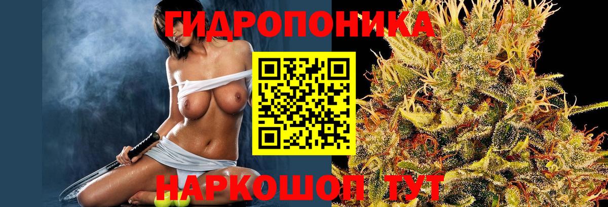 Бошки марихуана White Widow  МАРИХУАНА Ganja  Вход с VPN  Тюмень  Бошки марихуана тримм 